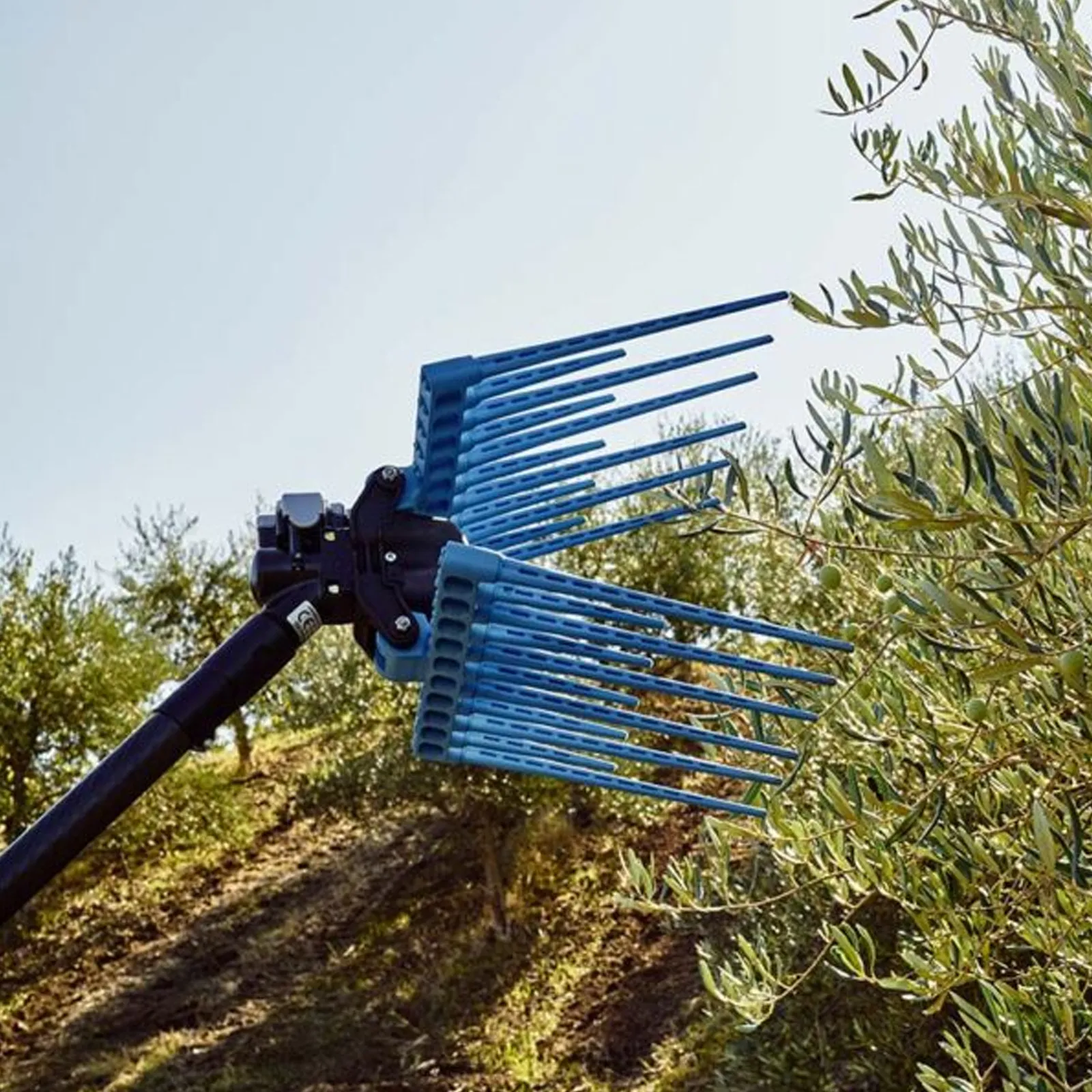 Abbacchiatore Pneumatico SENZA ASTA per Raccolta Olive CAMPAGNOLA Scuotitore Scuotiolive DIABLO