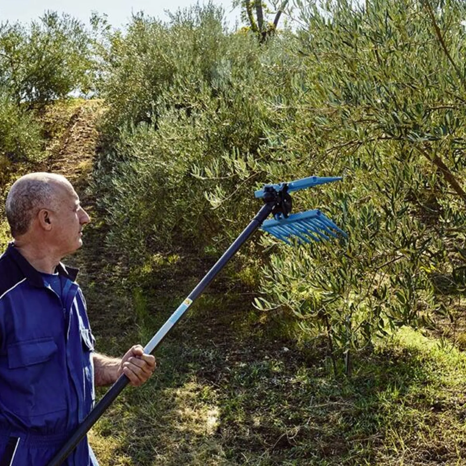 Abbacchiatore Pneumatico SENZA ASTA per Raccolta Olive CAMPAGNOLA Scuotitore Scuotiolive DIABLO